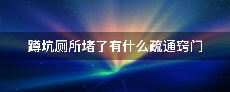 蹲坑厕所堵了有什么疏通窍门 蹲坑厕所堵住了怎么办如何疏通