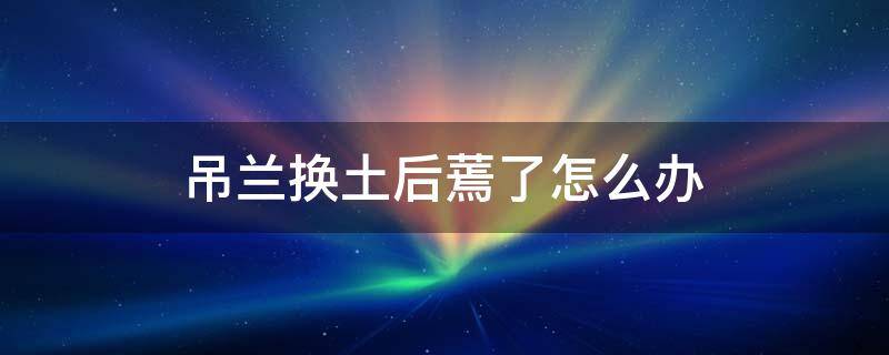 吊兰换土后蔫了怎么办 吊兰叶子蔫了怎么办