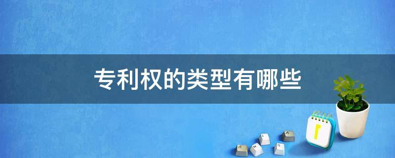 专利权的类型有哪些（专利权包括几个专利类型）