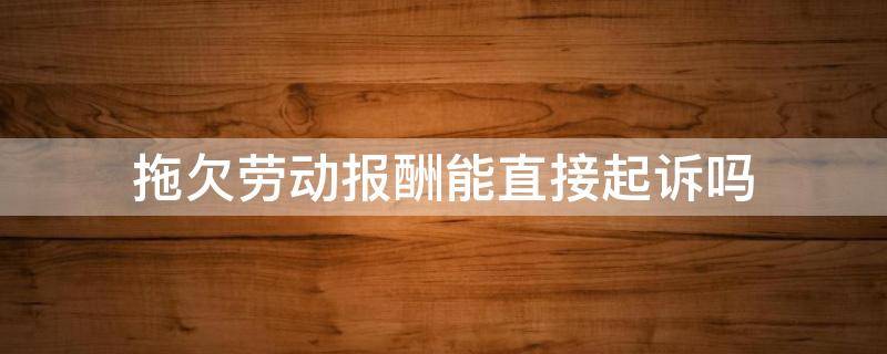 拖欠劳动报酬能直接起诉吗（拖欠劳动报酬,可以直接法院立案吗）