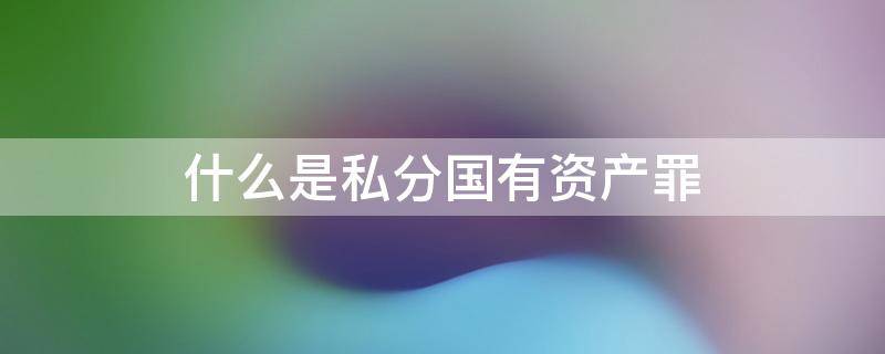 什么是私分国有资产罪 什么是私分国有资产罪和私分罚没财物罪?