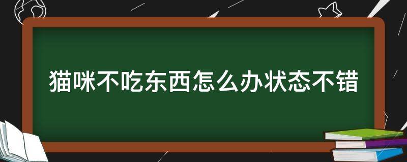 猫咪不吃东西怎么办状态不错（猫咪不吃东西怎么办,状态不错）