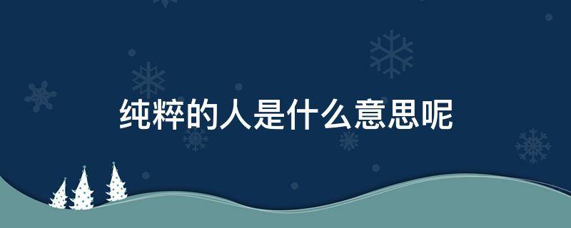 纯粹的人是什么意思呢 一个纯粹的人纯粹的意思