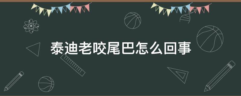 泰迪老咬尾巴怎么回事 泰迪狗总是咬尾巴怎么回事