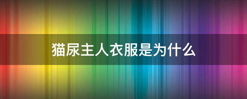 猫尿主人衣服是为什么 猫为什么尿主人的衣物