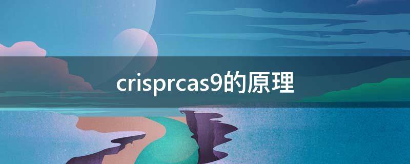 crisprcas9的原理（crisprcas9的原理是基因突变还是基因重组）