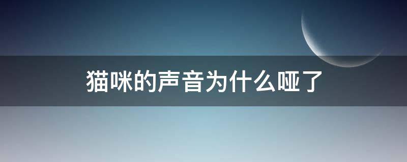 猫咪的声音为什么哑了 猫为啥声音哑了