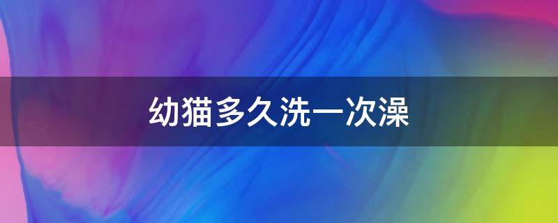 幼猫多久洗一次澡（2个月幼猫多久洗一次澡）