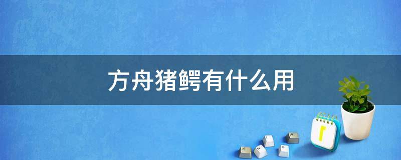 方舟猪鳄有什么用 方舟猪鳄有什么用?