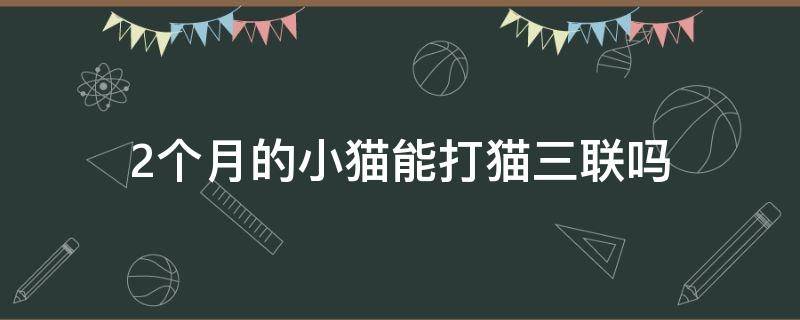 2个月的小猫能打猫三联吗（一个半月的猫可以打猫三联了吗）