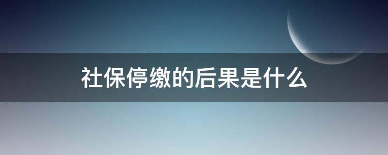 社保停缴的后果是什么（社保停了有什么后果）