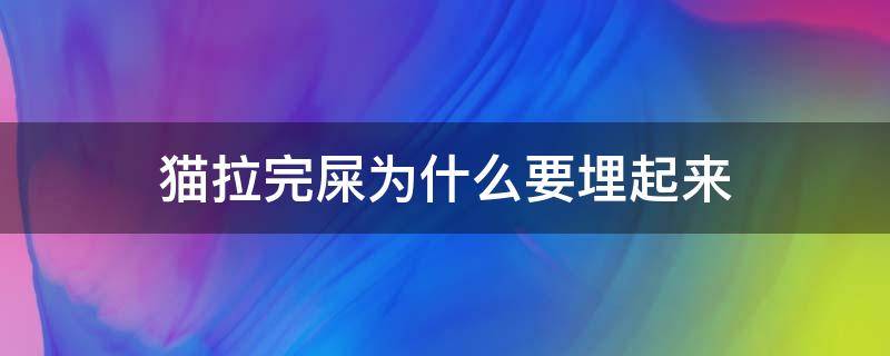 猫拉完屎为什么要埋起来 猫拉完屎会埋起来