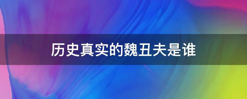 历史真实的魏丑夫是谁 历史上有魏丑夫这个人吗