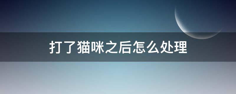 打了猫咪之后怎么处理 猫咪打了会怎么样