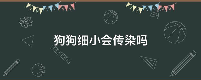 狗狗细小会传染吗（狗狗细小会传染狗狗吗）