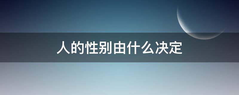 人的性别由什么决定（人的性别由什么决定 学术）