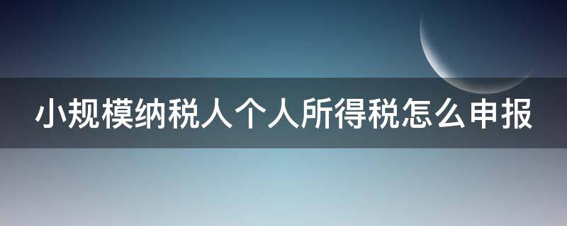 小规模纳税人个人所得税怎么申报（小规模纳税人个人所得税怎么申报免税政策）