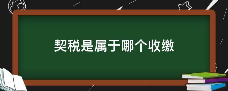 契税是属于哪个收缴（契税是按照什么收的）