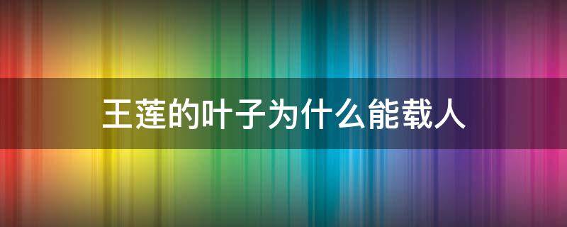 王莲的叶子为什么能载人 王莲叶为什么可以站人