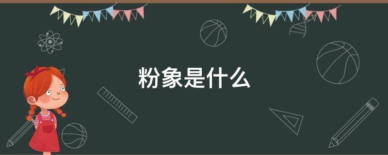 粉象是什么 粉象是什么平台