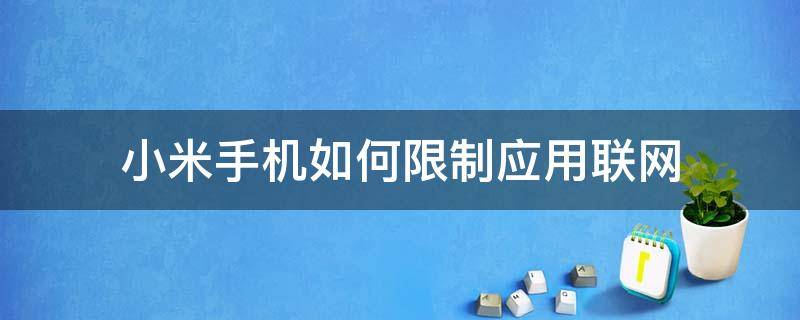 小米手机如何限制应用联网（miui怎么限制应用联网）