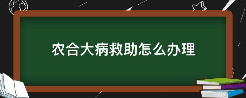 农合大病救助怎么办理（农民如何申请大病救助）