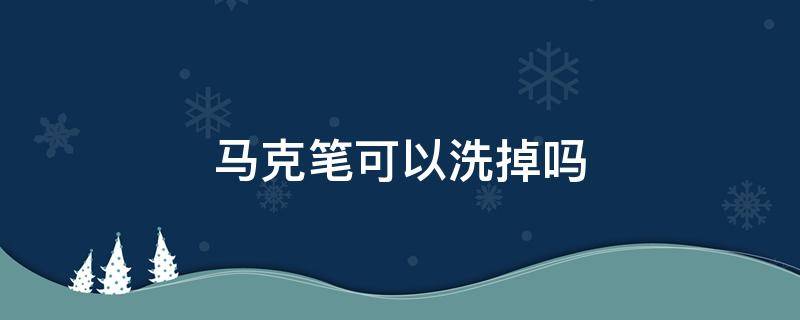 马克笔可以洗掉吗（丙烯马克笔可以洗掉吗）