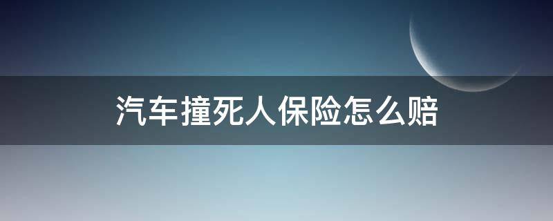 汽车撞死人保险怎么赔 汽车撞死人保险赔多少