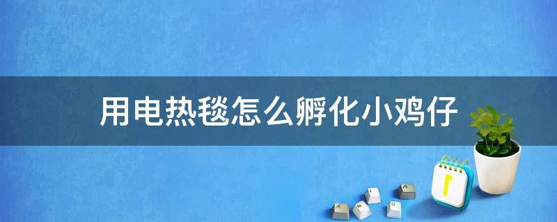 用电热毯怎么孵化小鸡仔 用电热毯能孵出小鸡吗