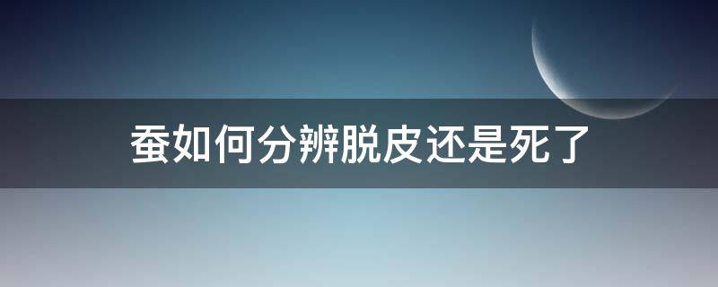 蚕如何分辨脱皮还是死了（蚕是脱皮还是蜕皮）