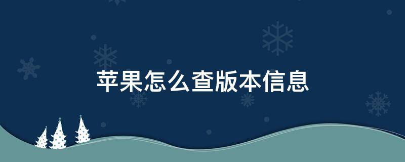 苹果怎么查版本信息 苹果怎么查版本号