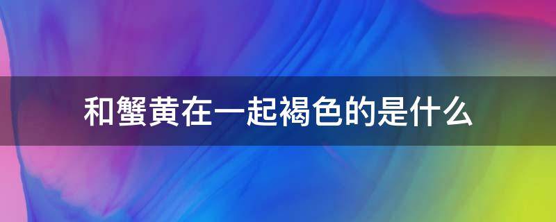 和蟹黄在一起褐色的是什么 蟹黄上面褐色的是什么