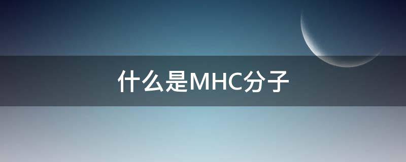 什么是MHC分子（mhc分子是如何组成的）