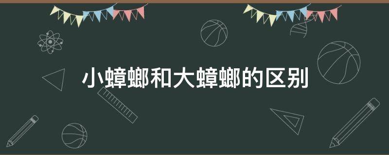 小蟑螂和大蟑螂的区别（像蟑螂又比蟑螂小的是什么）