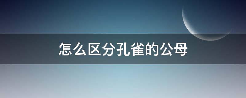 怎么区分孔雀的公母（孔雀怎么区分公的母的）