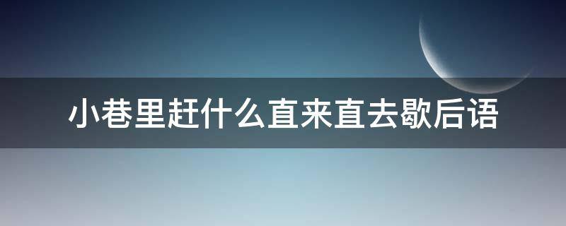 小巷里赶什么直来直去歇后语 直巷赶狗猪歇后语下句是什么