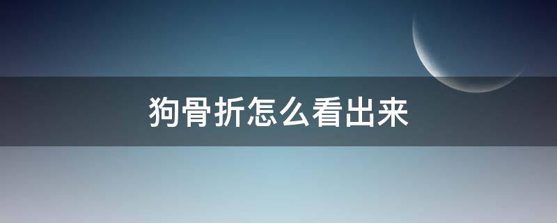 狗骨折怎么看出来 怎么知道狗是不是骨折了