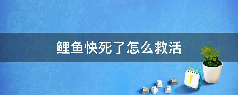 鲤鱼快死了怎么救活 小鲤鱼死了还能救活吗