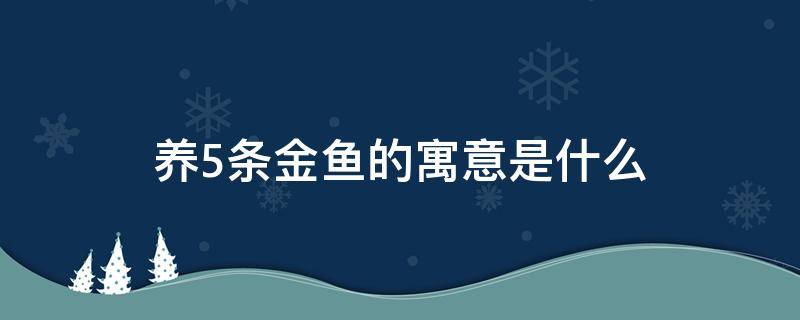 养5条金鱼的寓意是什么（家里养5条鱼是什么寓意）