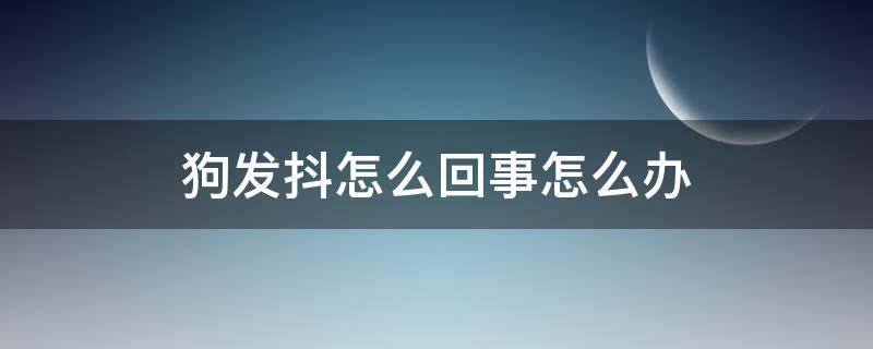 狗发抖怎么回事怎么办（狗发抖怎么回事?）