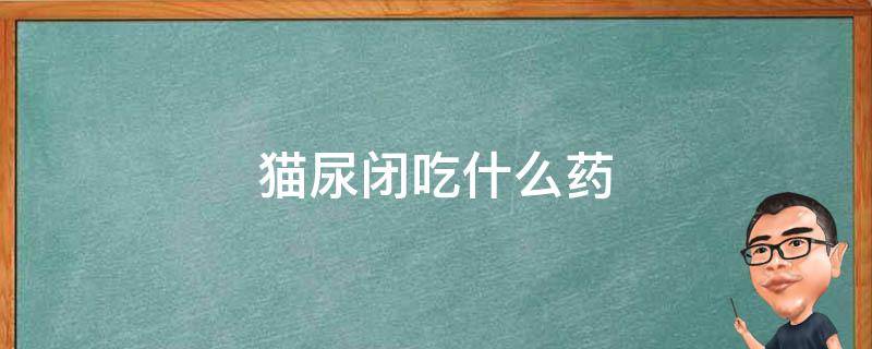 猫尿闭吃什么药 猫尿闭吃什么药比较好