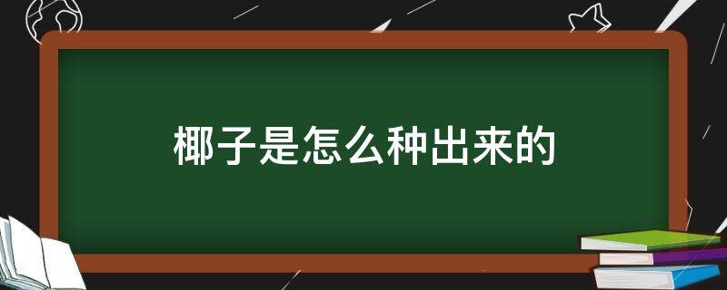 椰子是怎么种出来的（椰子是怎样生长出来的）