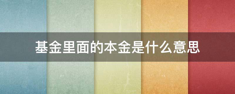 基金里面的本金是什么意思（基金里的本基金是什么意思）