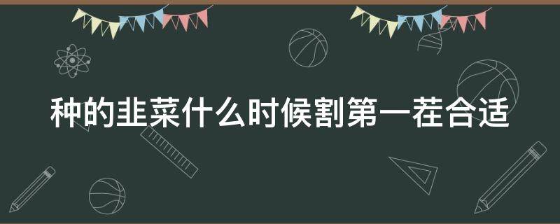 种的韭菜什么时候割第一茬合适 新种韭菜什么时候割