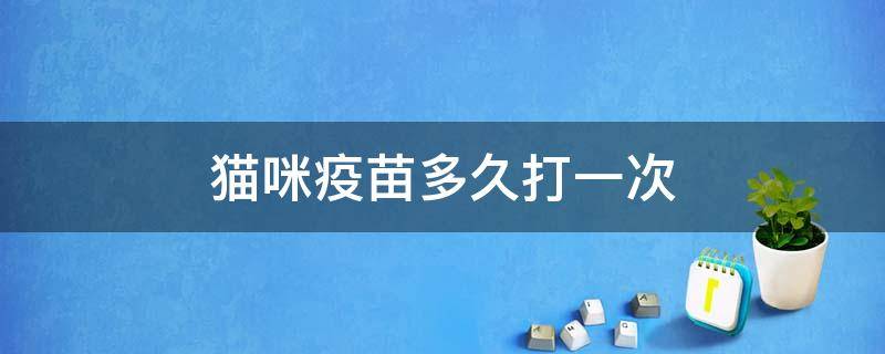 猫咪疫苗多久打一次（猫咪疫苗多久打一次多少钱一针?）