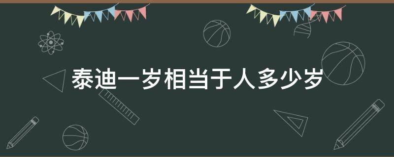 泰迪一岁相当于人多少岁 泰迪一岁相当于人多少岁智商