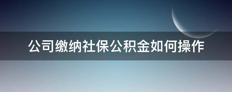 公司缴纳社保公积金如何操作（公司社保公积金怎么交）