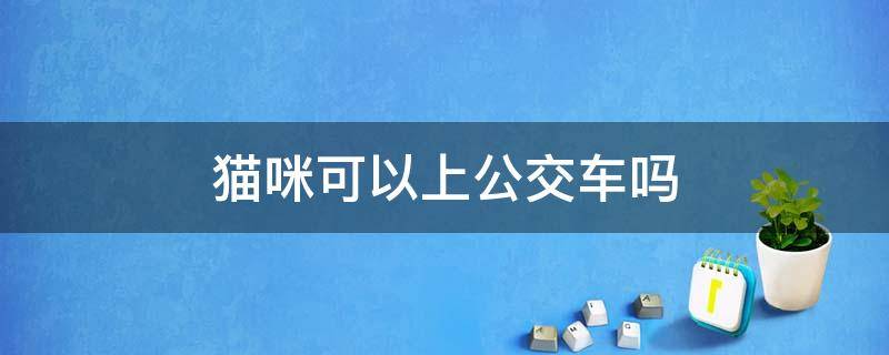 猫咪可以上公交车吗 猫咪可以上公交车吗重庆