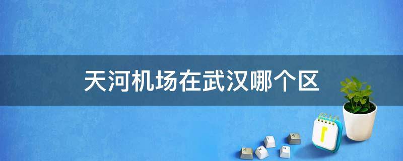 天河机场在武汉哪个区 武汉天河机场是哪个区的