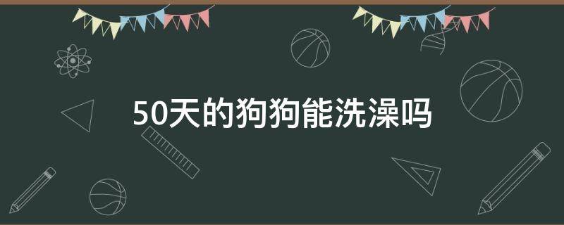 50天的狗狗能洗澡吗 50天左右的狗狗能洗澡吗